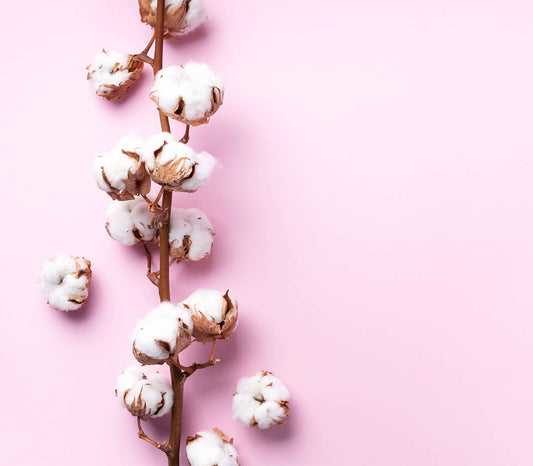 Choosing Organic Materials for Your Baby Products
